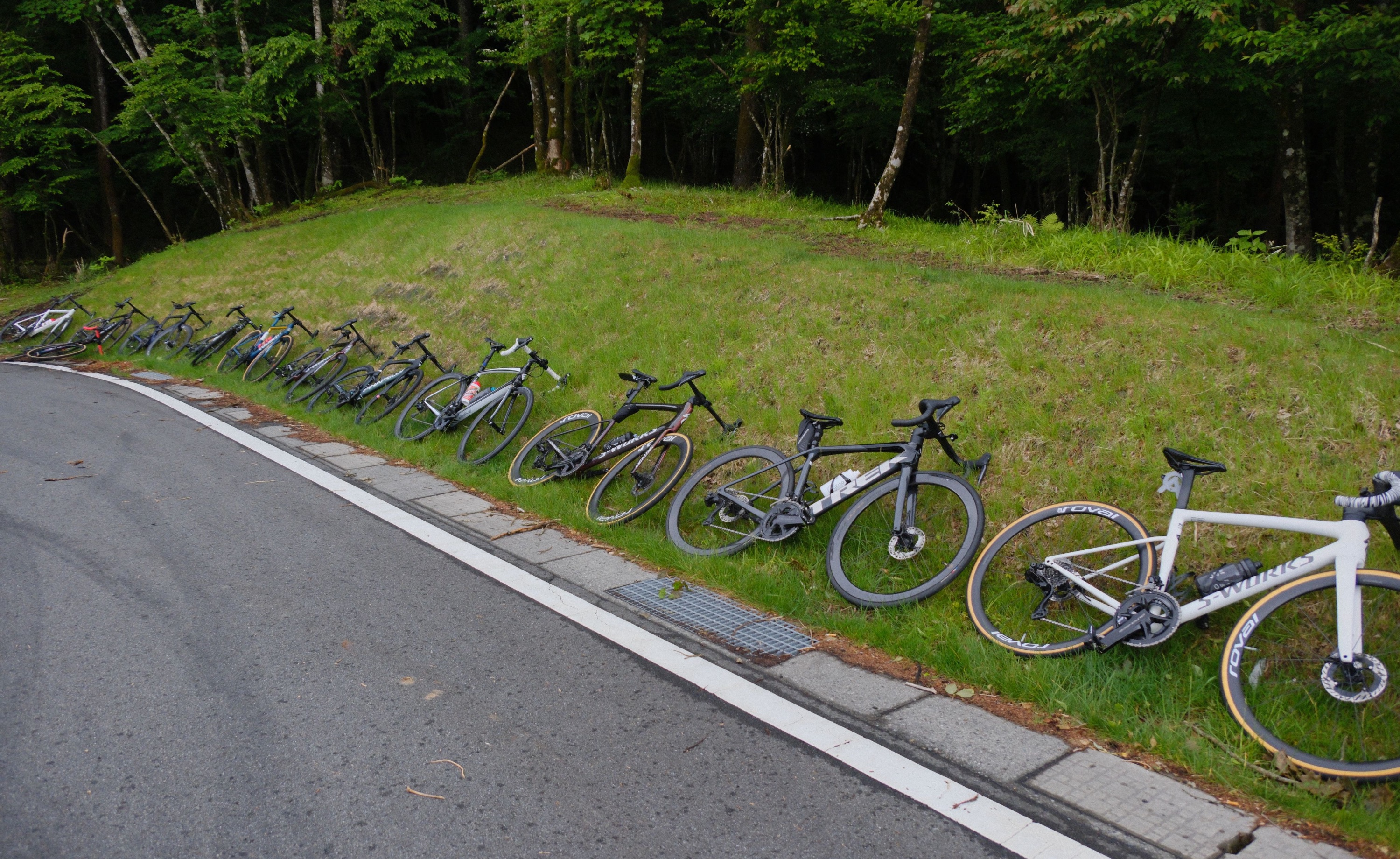 Road bikes parked on a grassy hillside