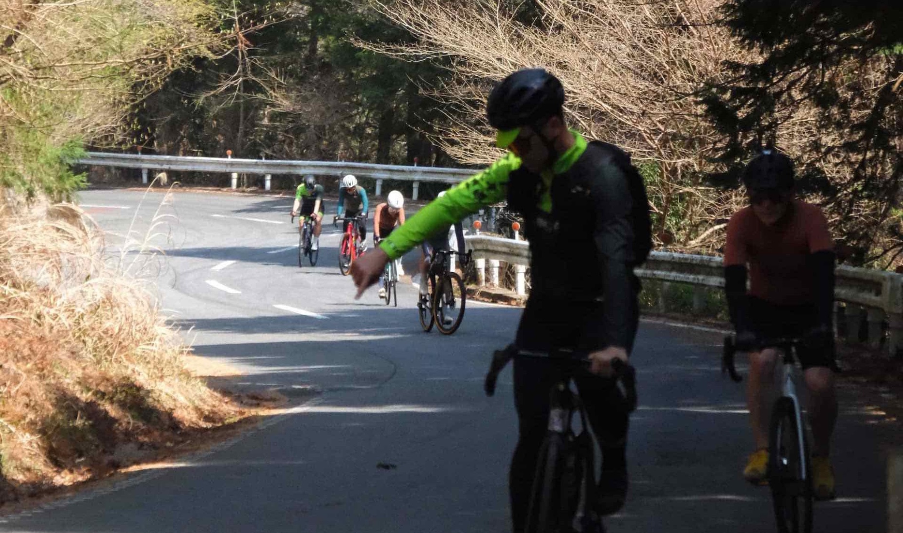 Cyclists riding as a team